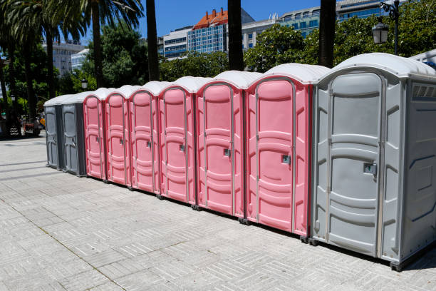 Best Portable Restroom Removal and Pickup  in Red Wing, MN